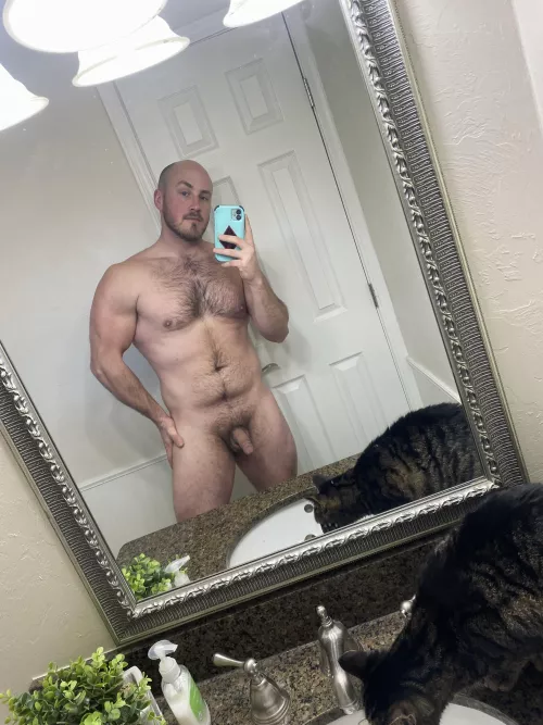 Let’s go Ravens! by thathungtrucker