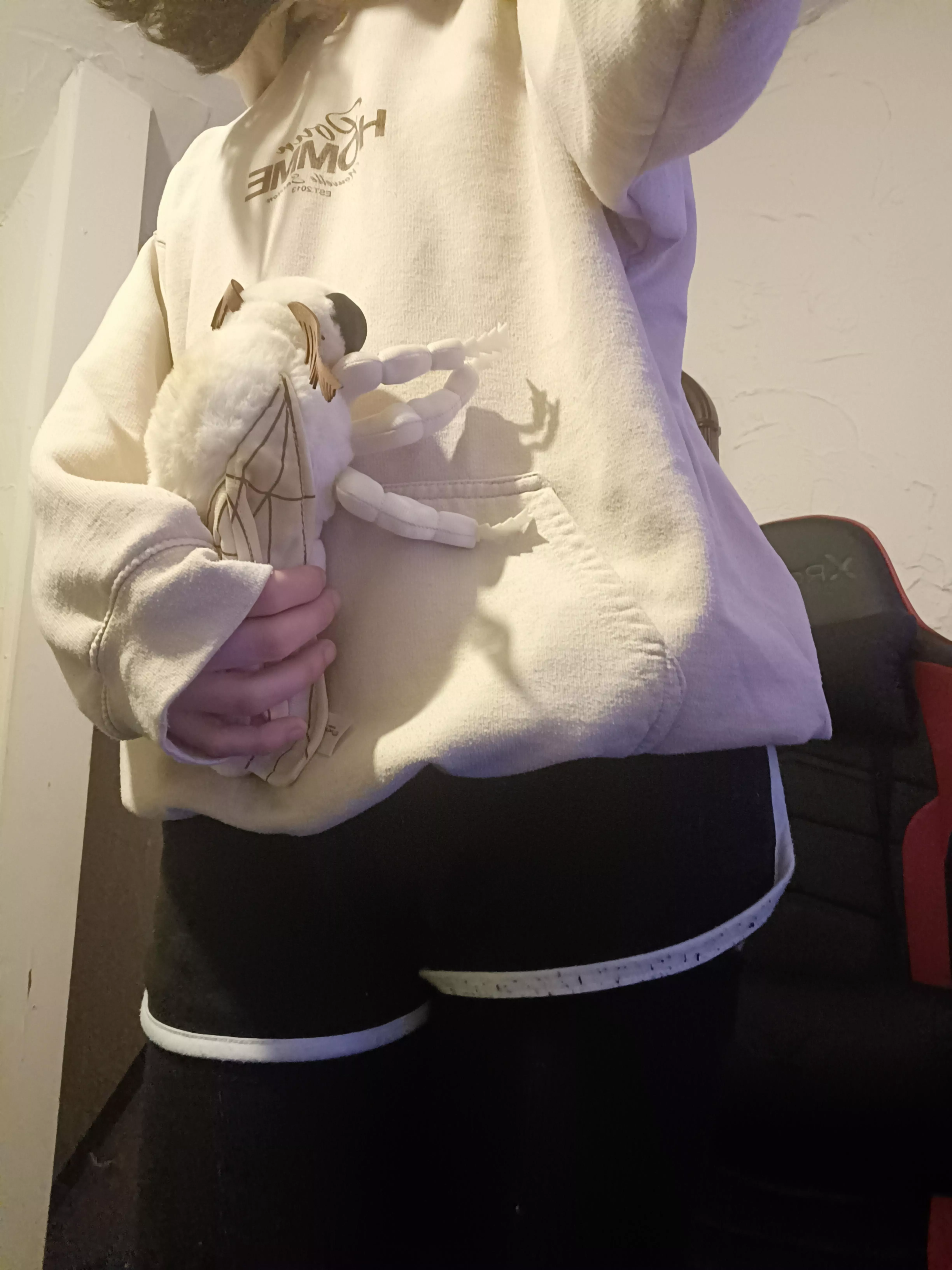 Moths are cute posted by Silkiemoth95