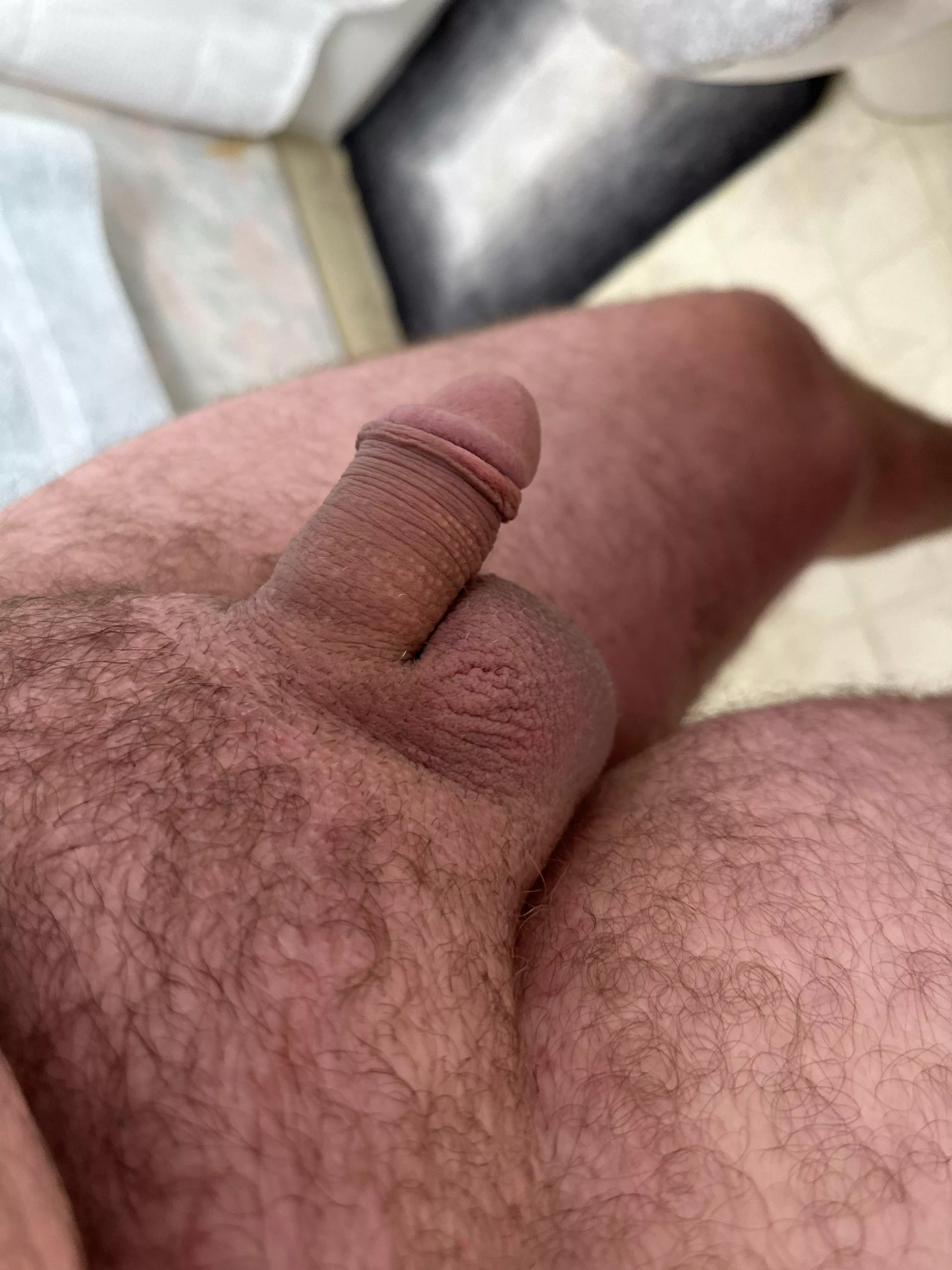 My small cut cock, what do you think? posted by Russman6543