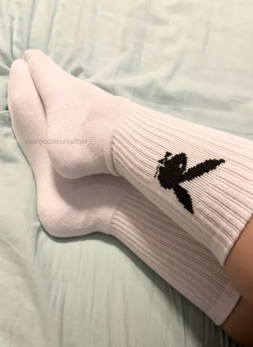 new playboy bunny socks! by yourgoddesskaitlyn