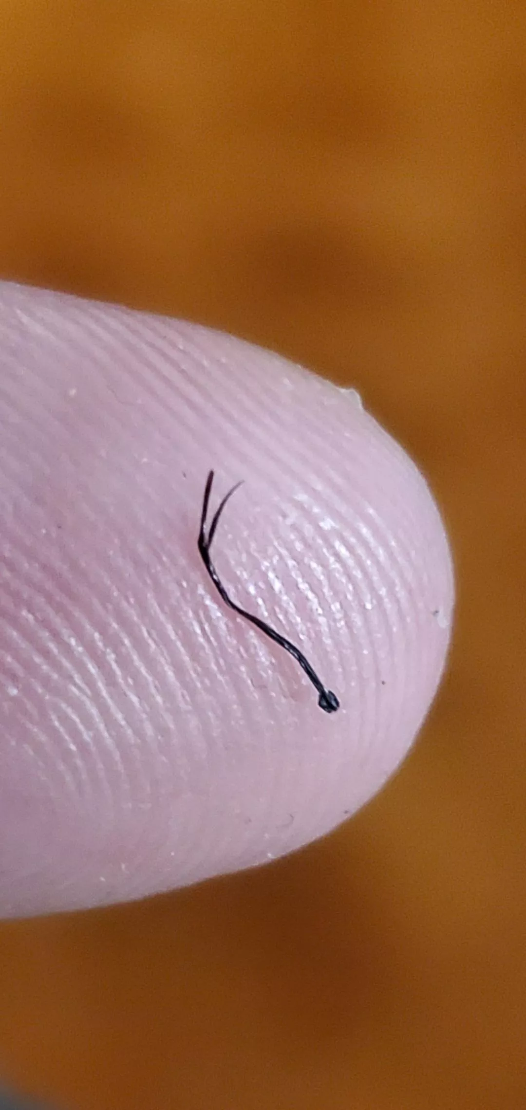 Not sure where to post this, but the relief of pulling this out of my beard was incredible posted by NowFapping