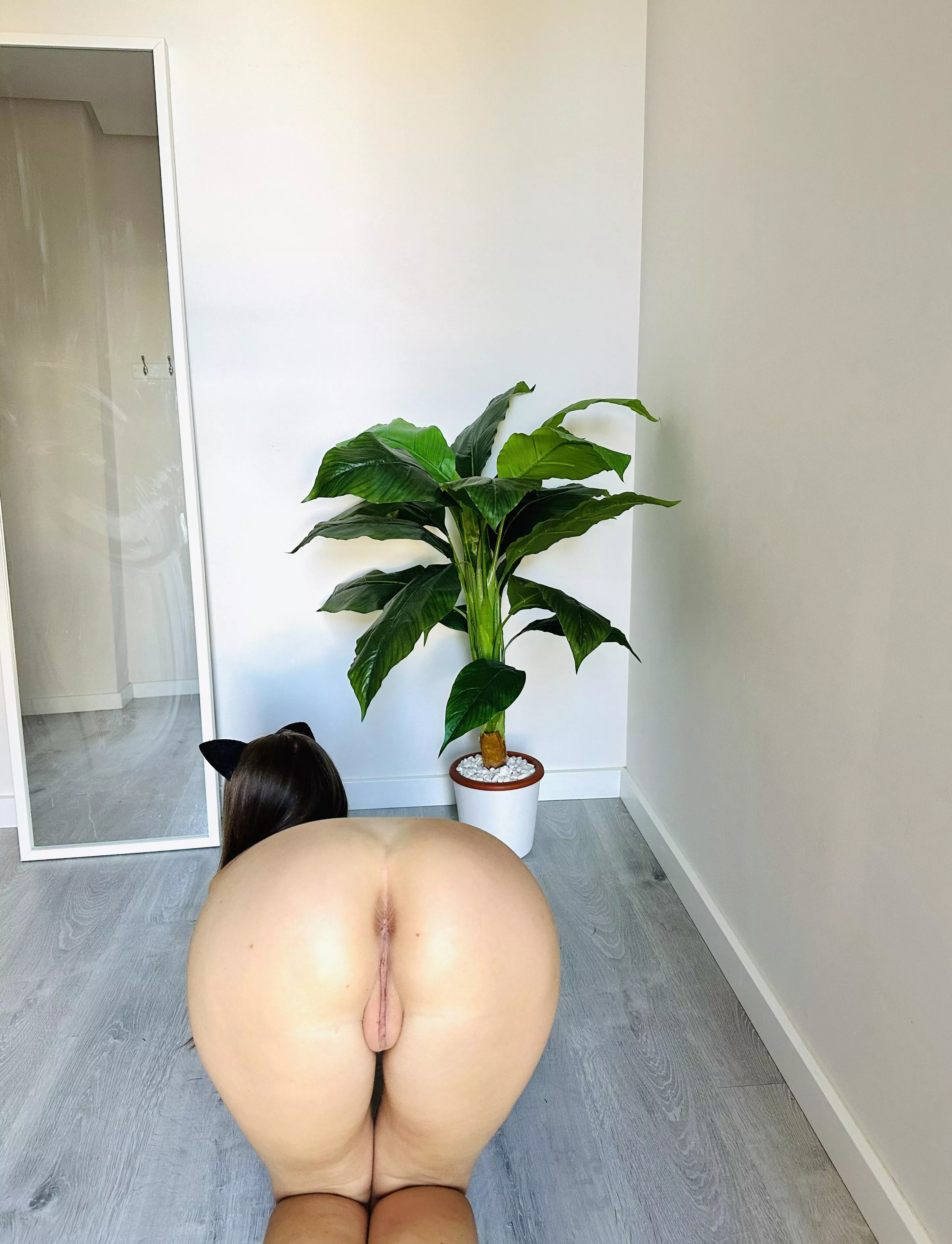 Oh, something fell on the floor and I can't pick it up posted by Asciticpondweed