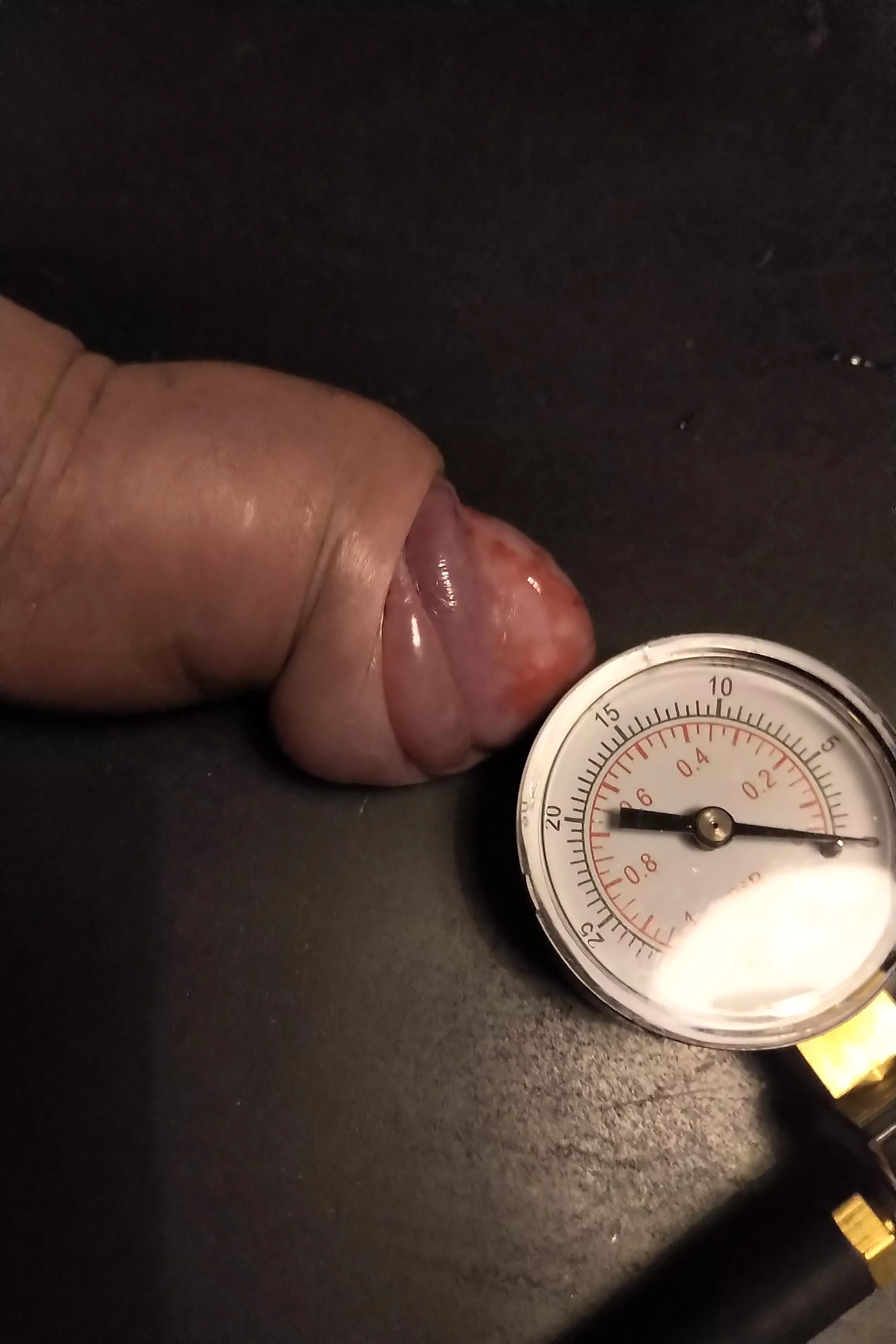 perfect deformation. posted by elakture