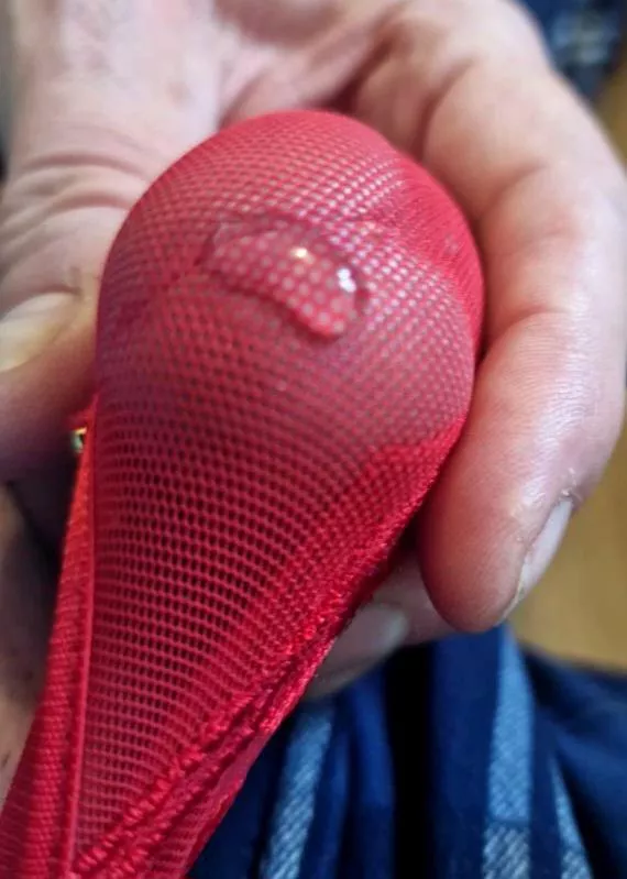 Precum n my panties posted by Odd-Palpitation8053