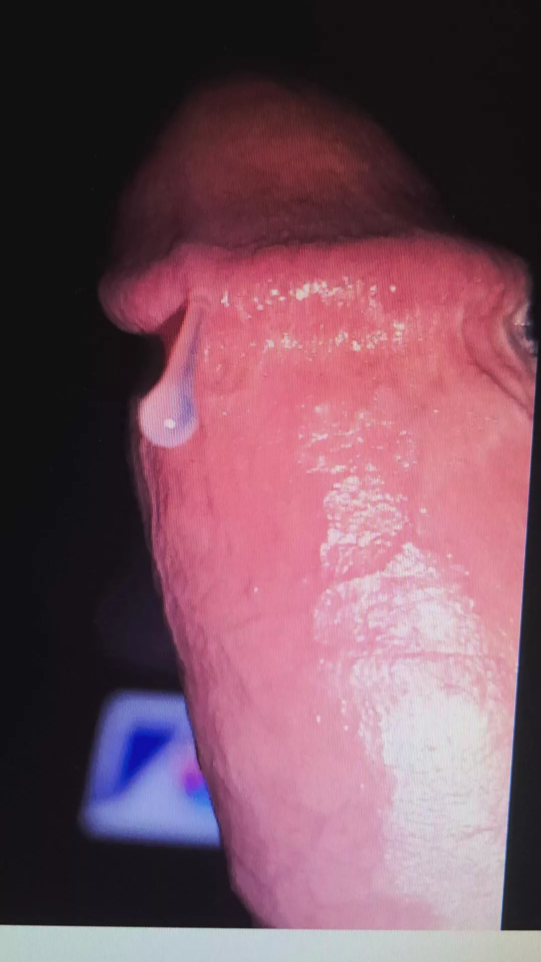 Slurp away !! posted by Leo20212021