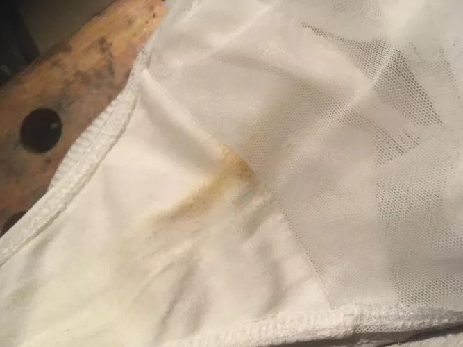 Someone had a busy day… by Illustrious_Elk_4613