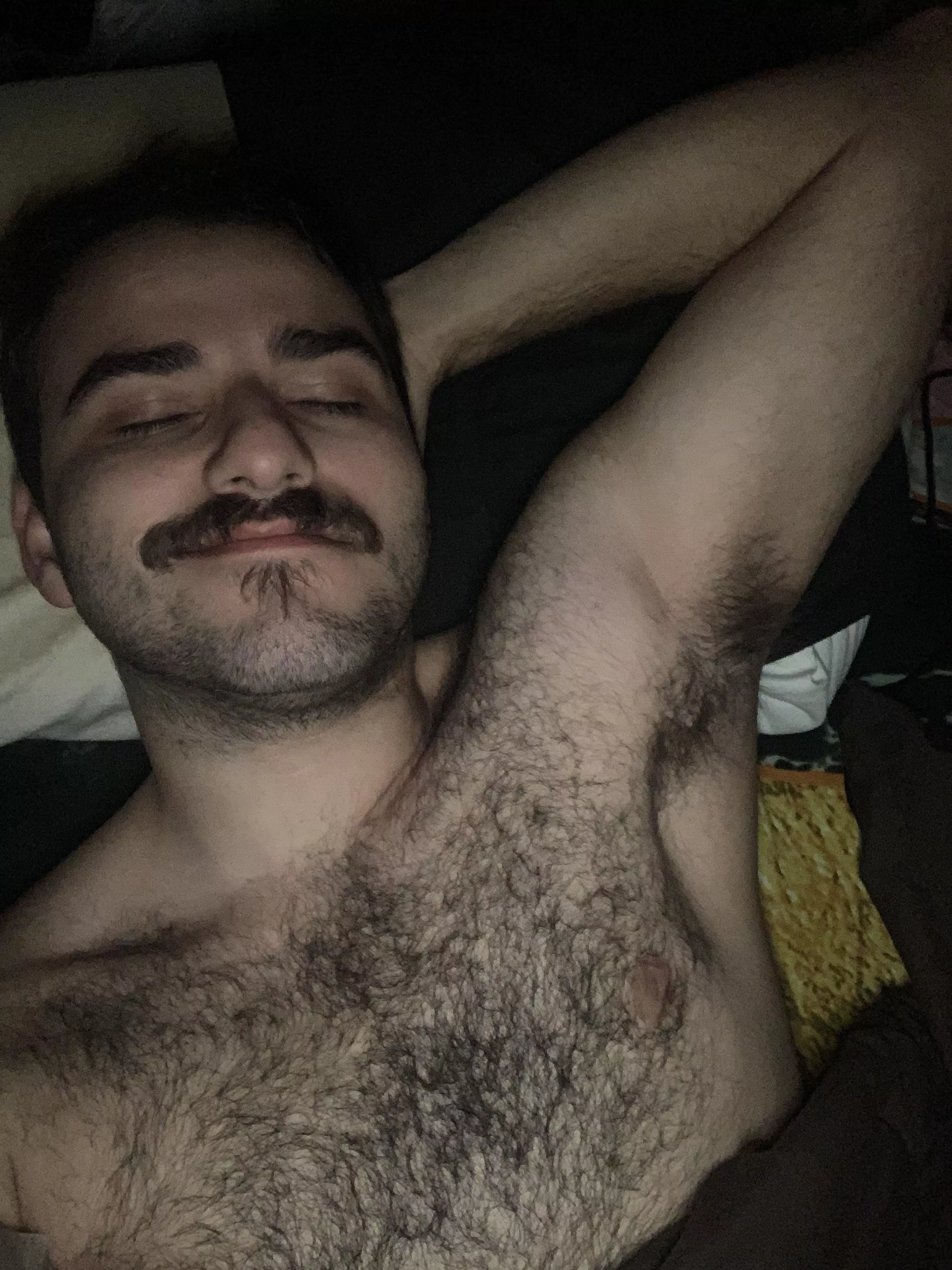 Still have no idea why I’m up this early 😩 posted by nerdyotter239