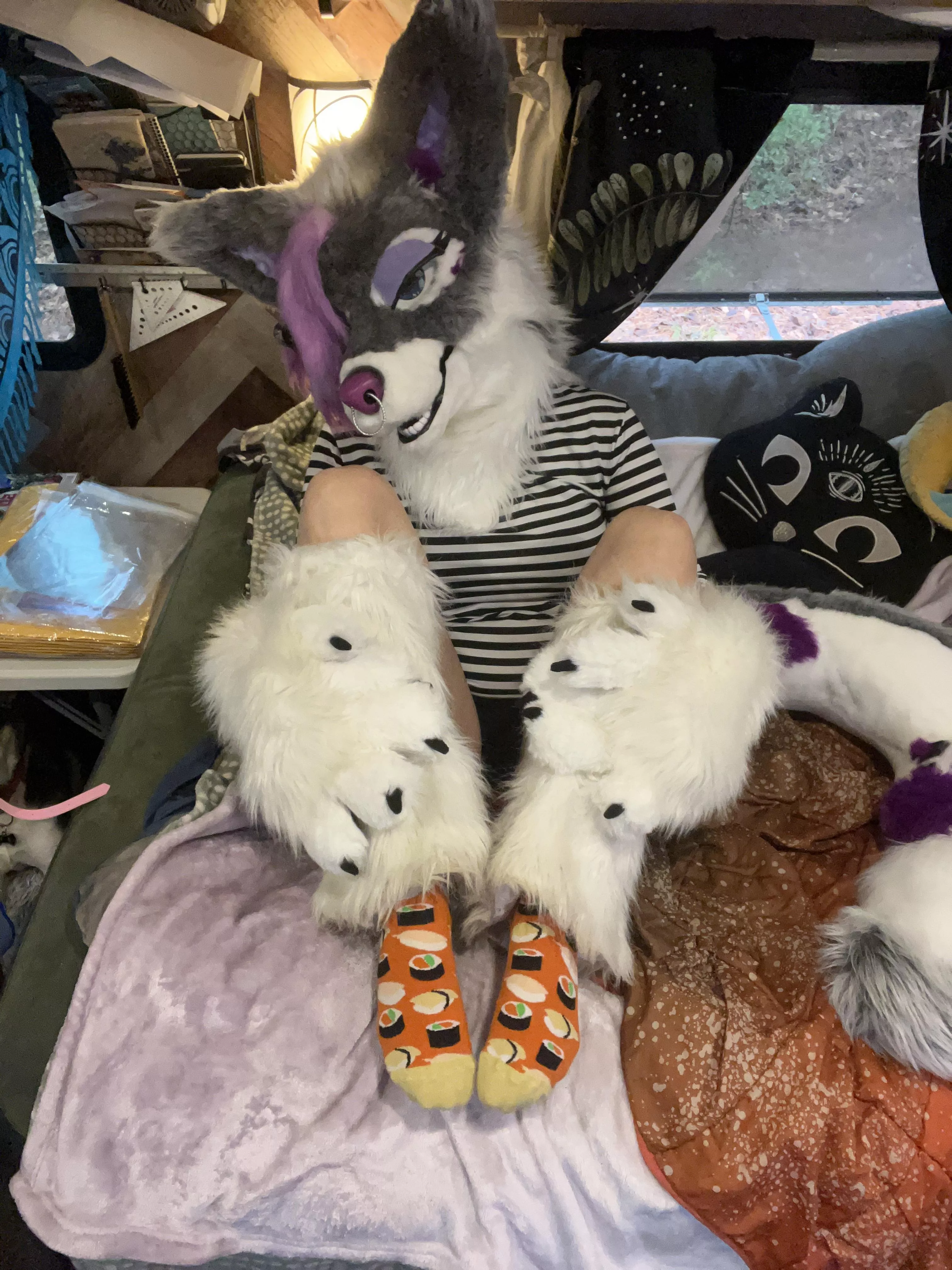 Sushi socks!!! posted by Rayne_Rot