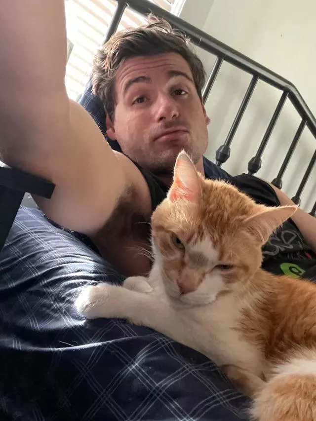 The cat might have a nice view posted by True-Cry-1246