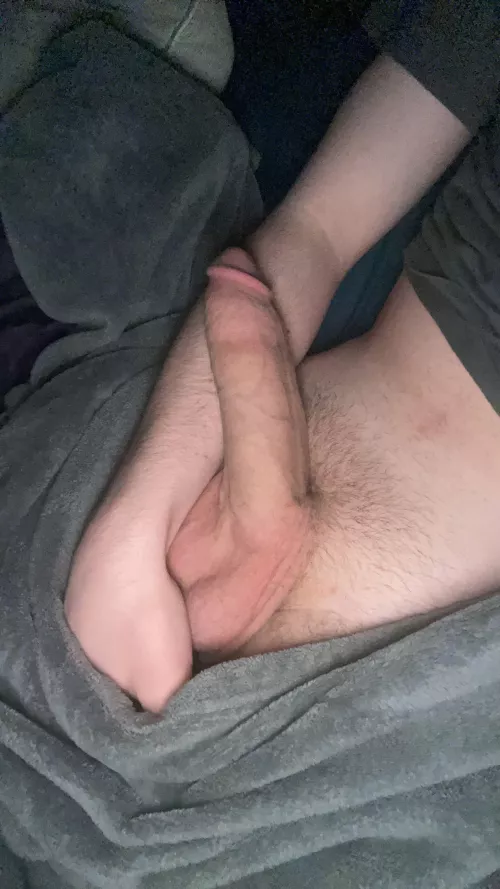 This is what I deal with every morning😓 by CurioussCanadian