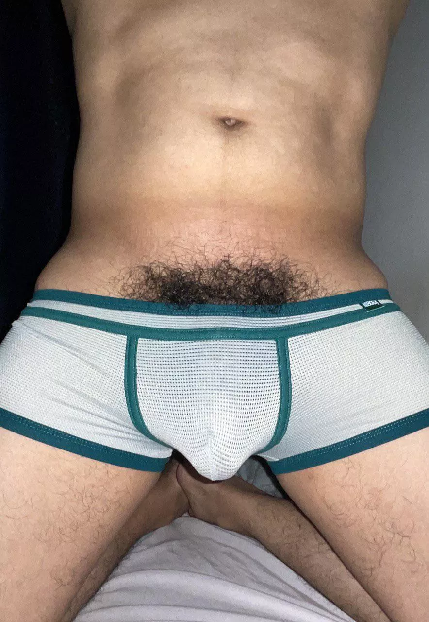 Too small to keep my bush 😝 posted by bushypitsguy