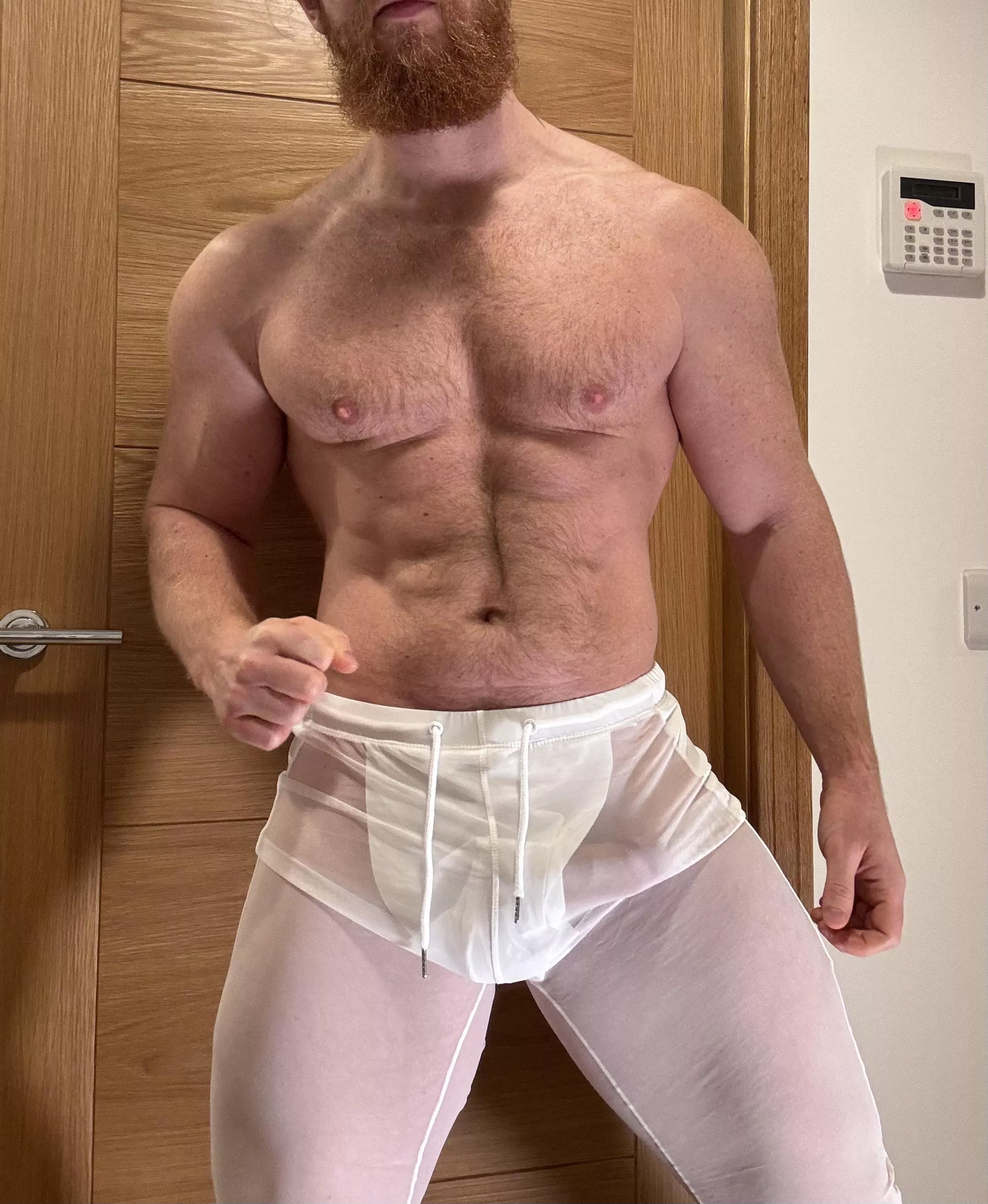 Want this Ginger hunk to stretch you open? posted by Bearded_alpha1