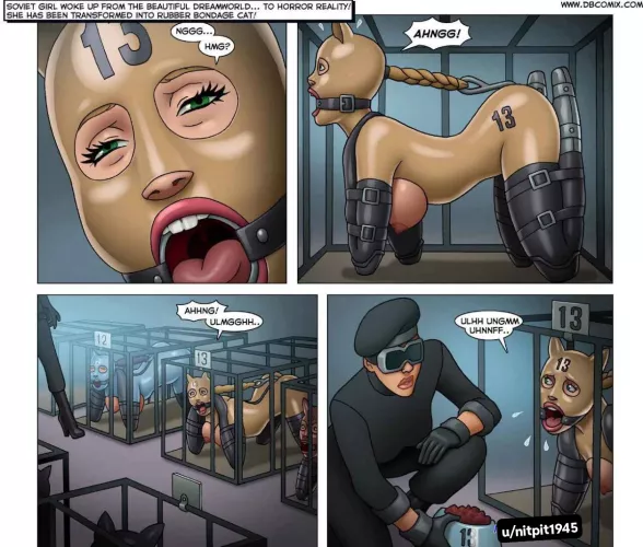 Whene my master says i am Not the only pet of him by nitpit1945