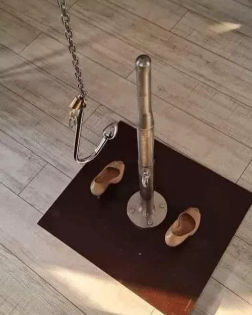 would be allowed to sit on this device of mine by diksi1984