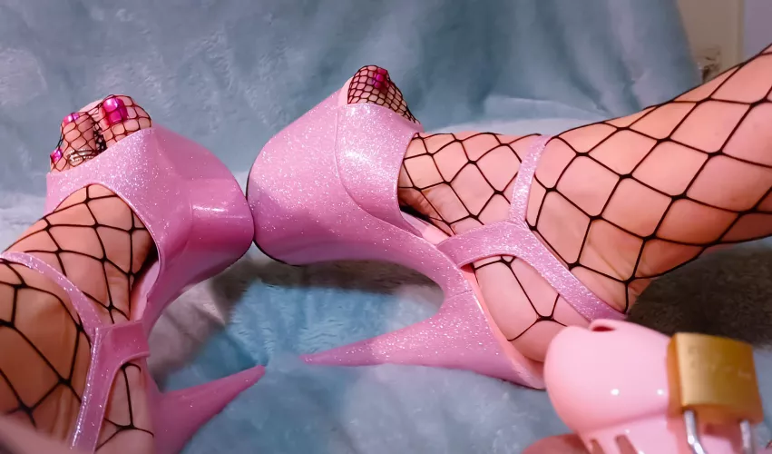 Would you rather with fishnets or without? by SissyCuckAva