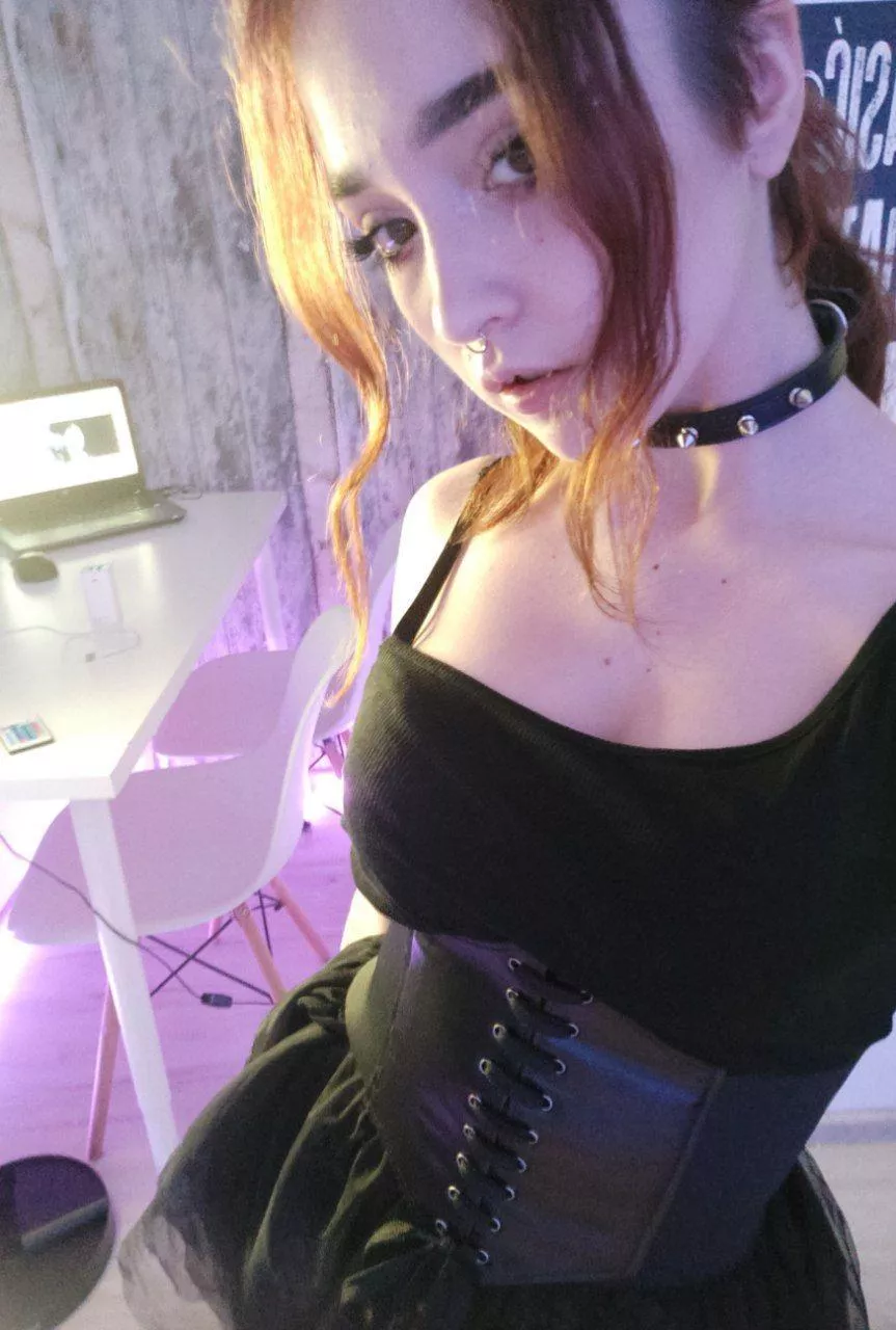 Would you take me out for walkies? posted by zedstrox