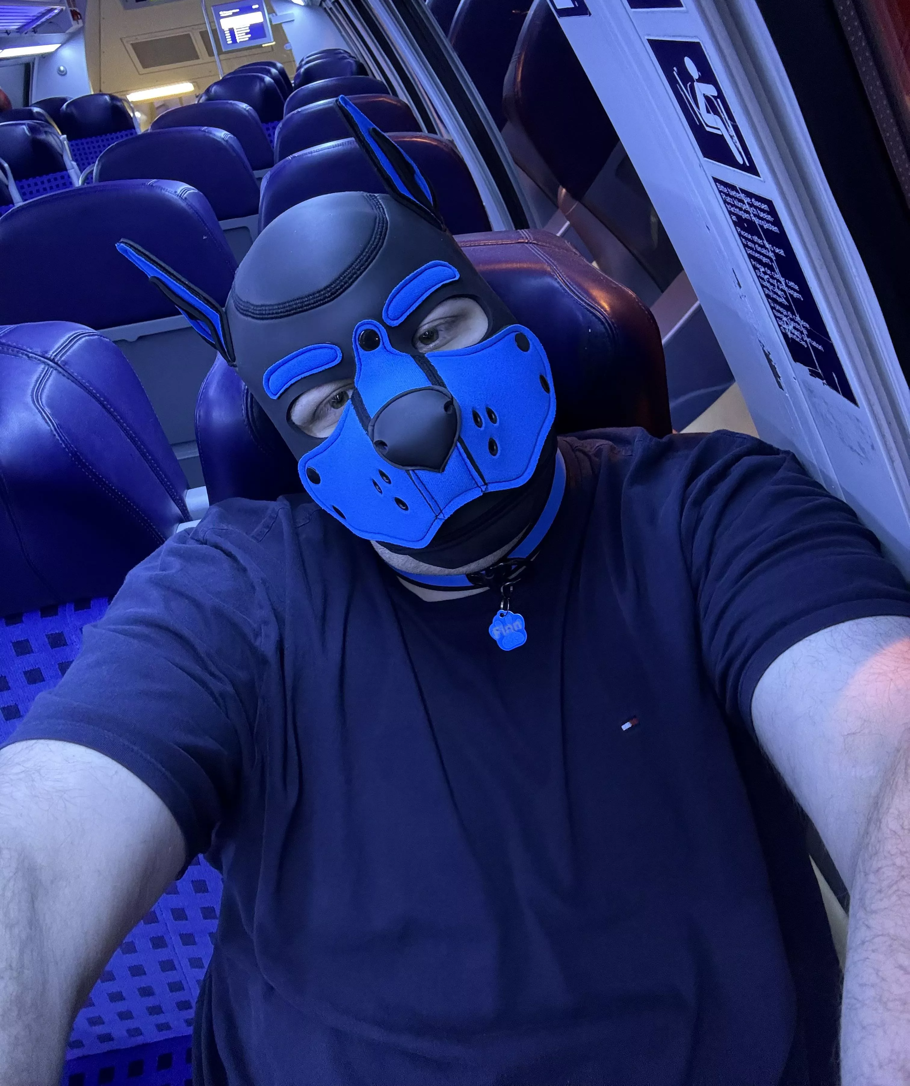 Wruff! 🐾 I'm always excited when I ride the train 🐕🐶 posted by pup_finn_