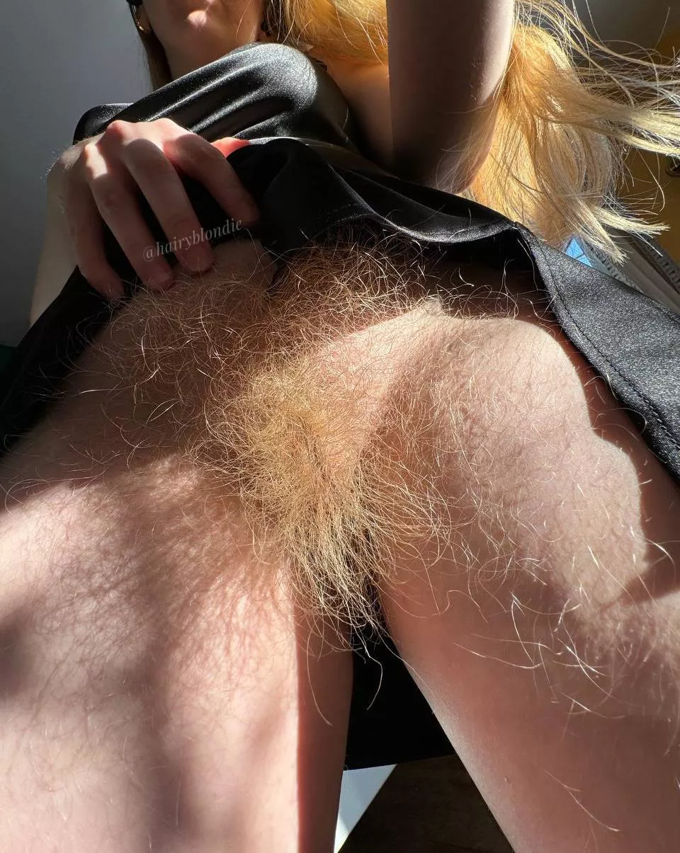 You need an untamed bush in your life posted by efiwfsn