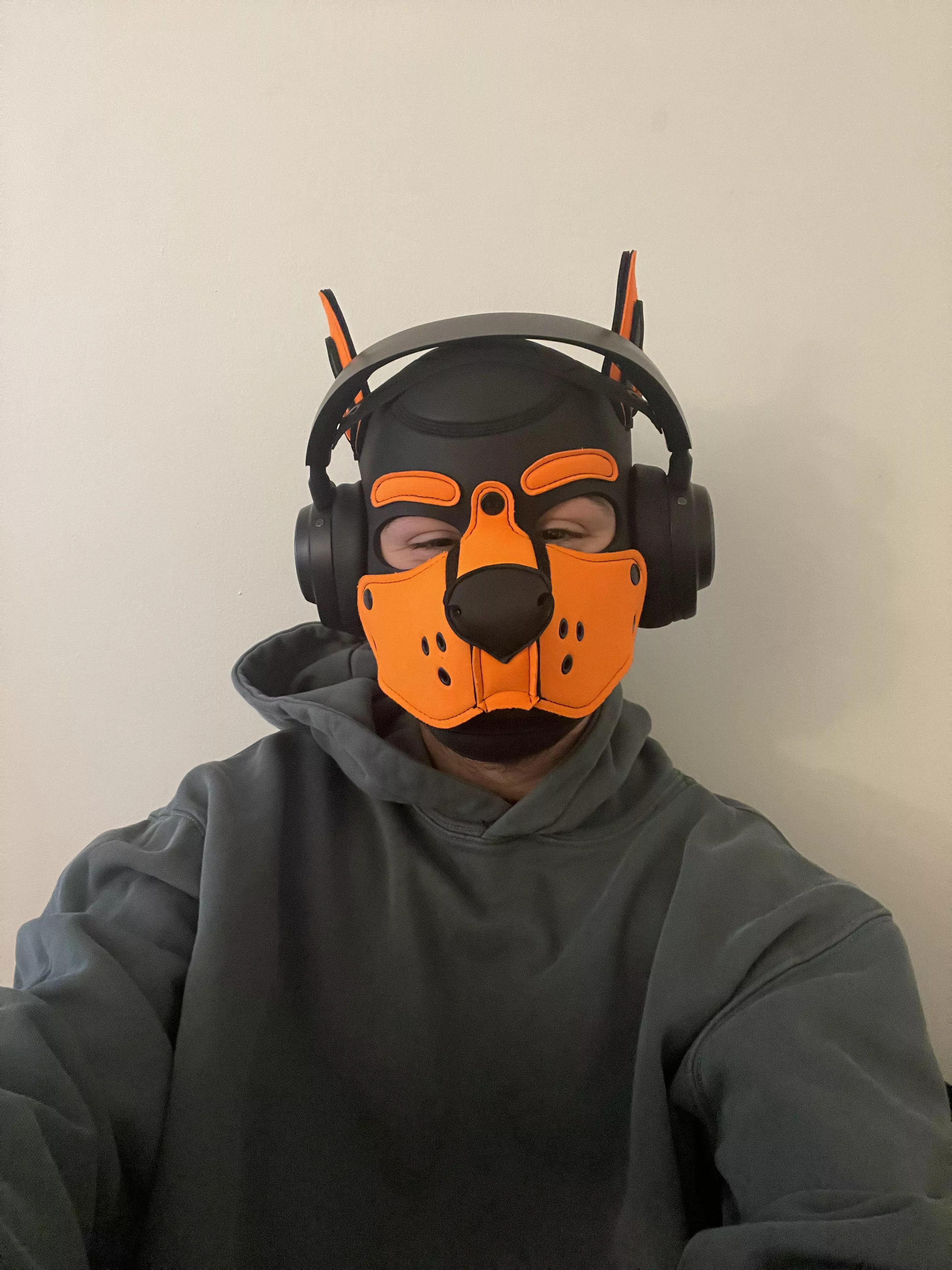 A wild gaymer pup has appeared! What are we playing today? posted by PupAjaxTheGreat