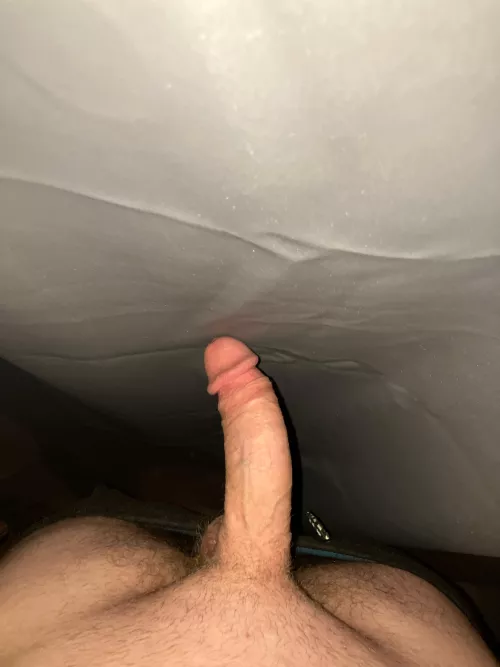 Anyone want to trade pics and cum together by Moist_pain369