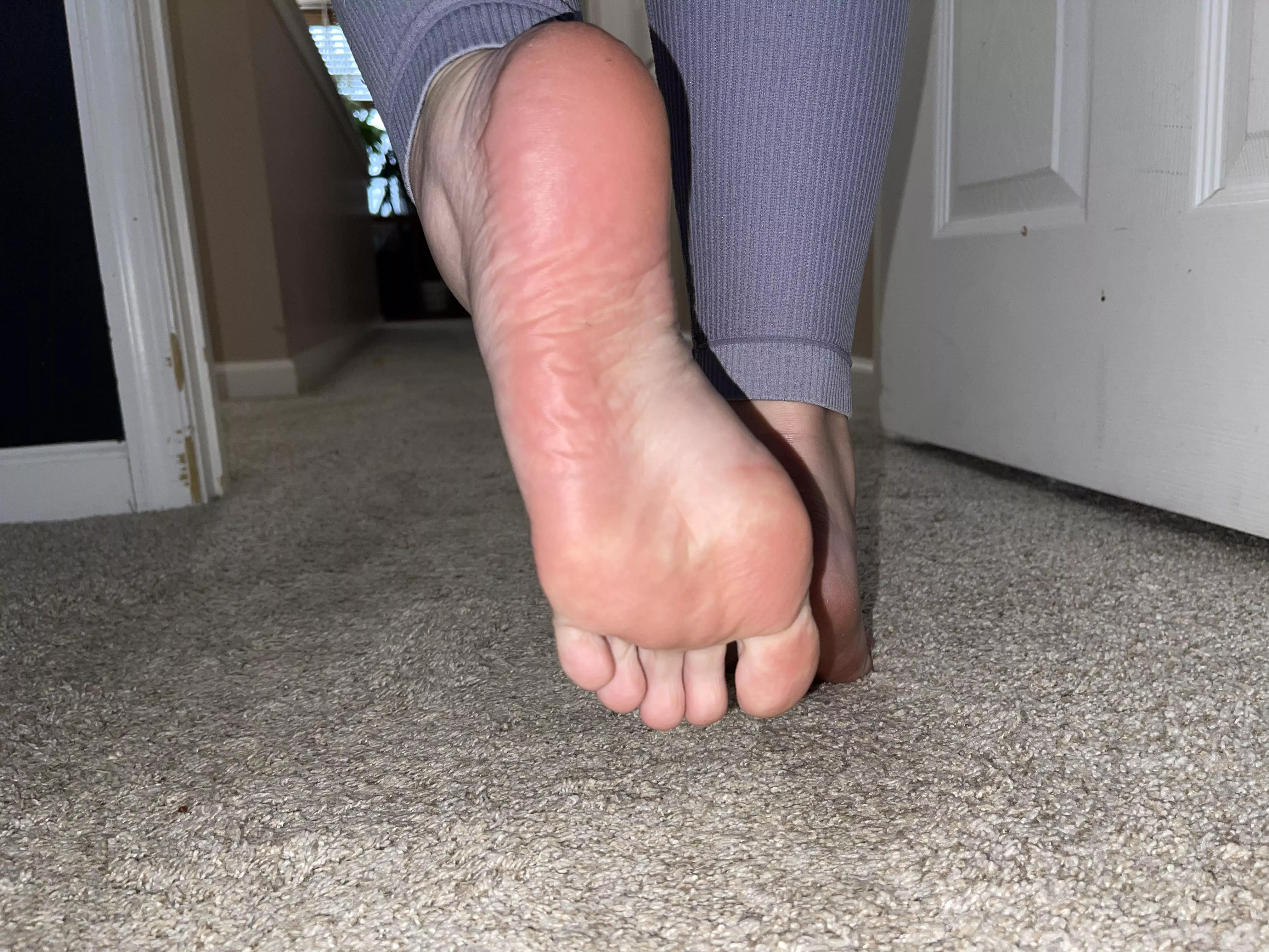 Are you following me? You might get squished! posted by Pedes_Laeti