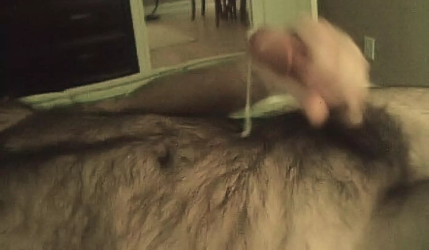 Cum covered fur posted by hairydaddy5454