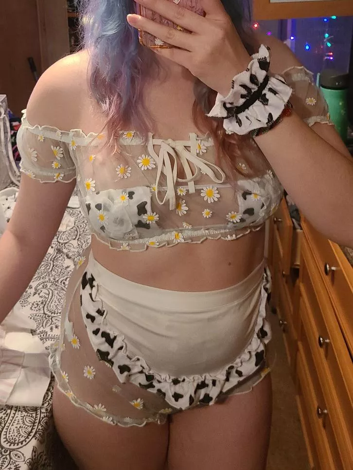 Daisy hucow 🌼 posted by daphniahyalina