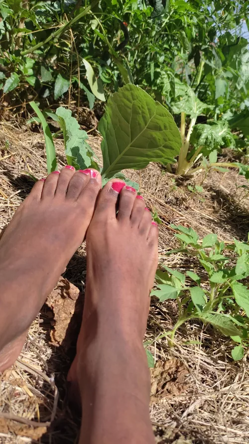 Day in the life of an African farmer by F_luckless