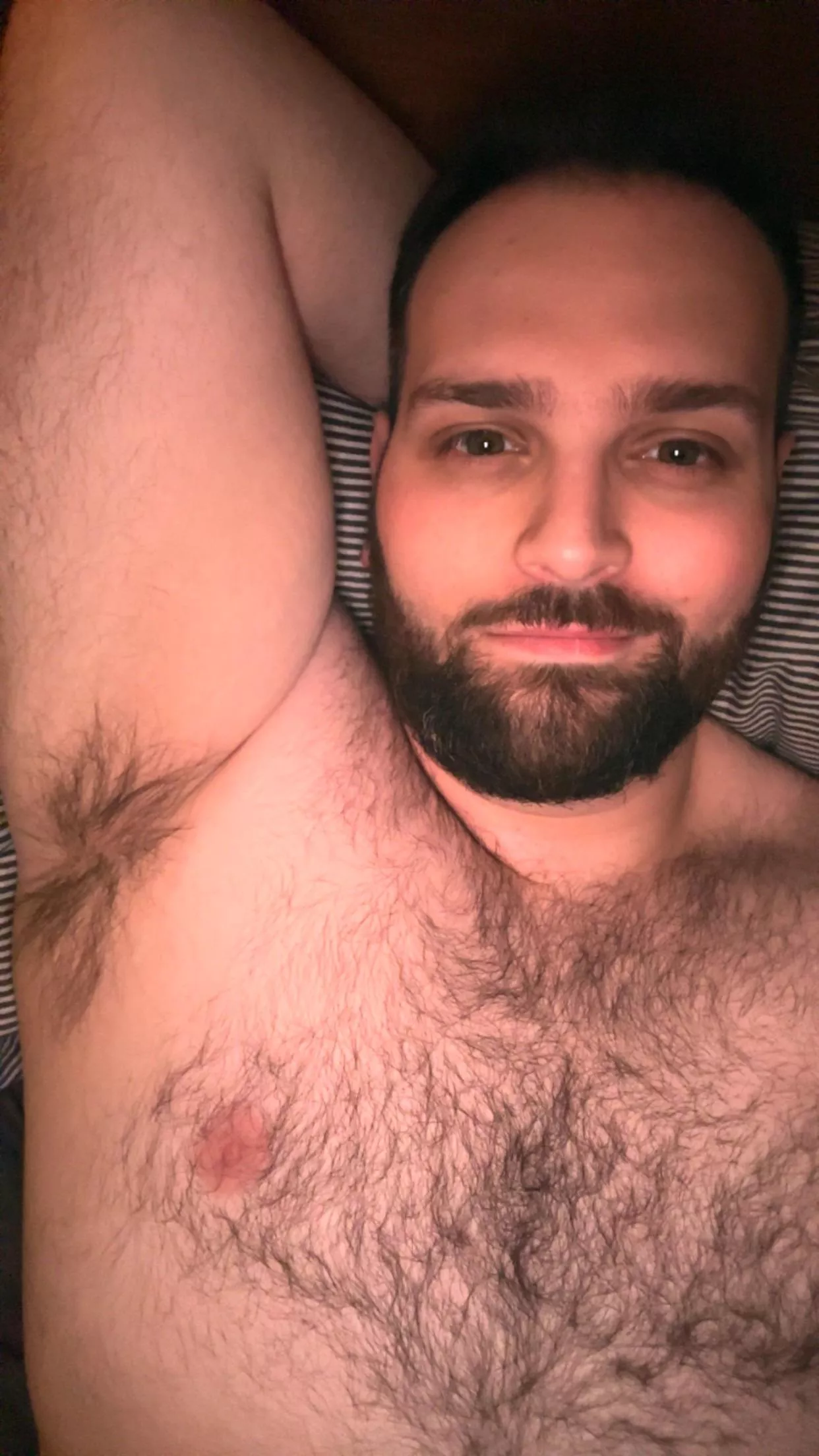 do I fit the insanely hairy bill? posted by oaken-nickel