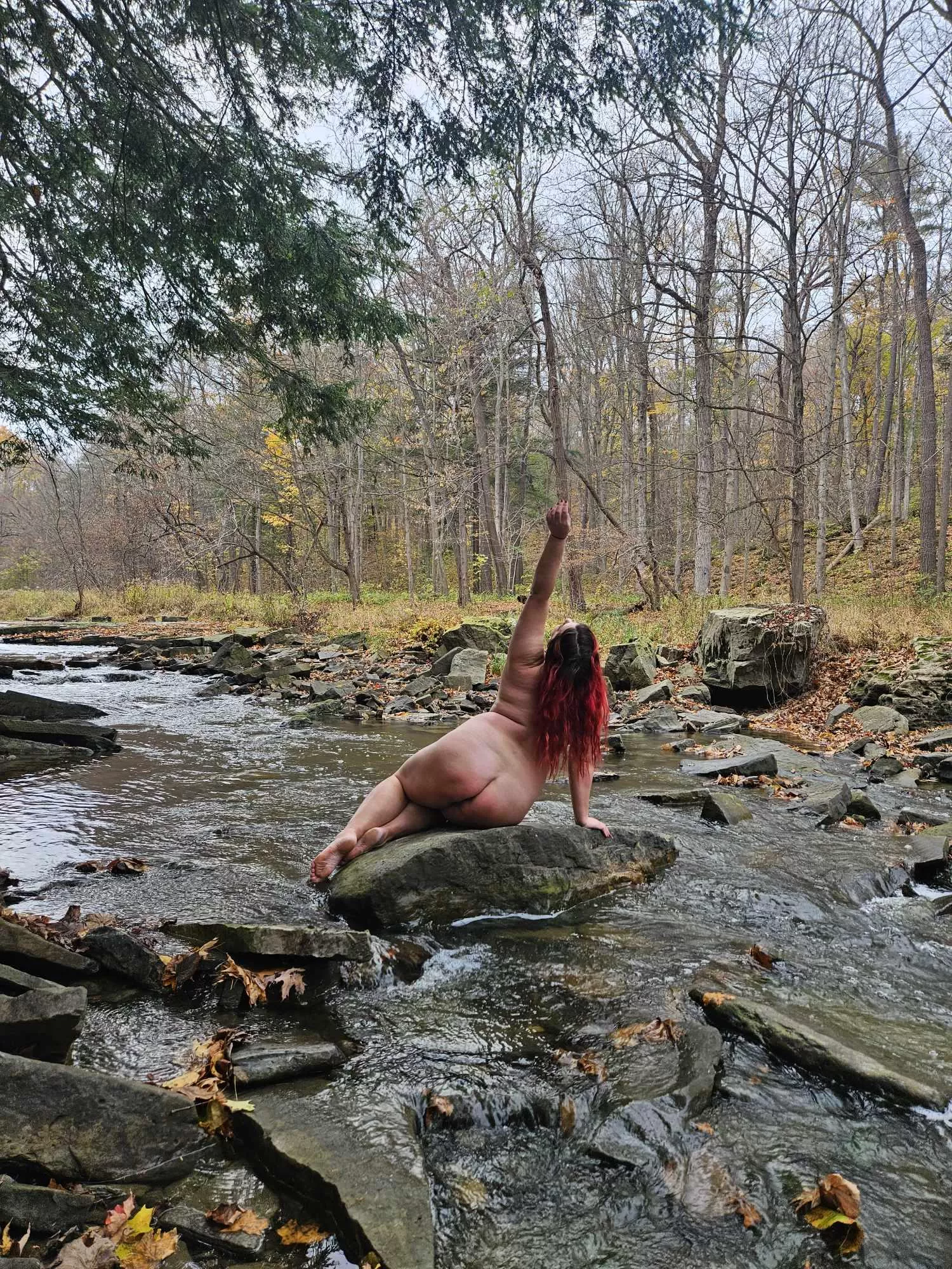 Forest bathing to heal the soul (f) posted by SugarBellz