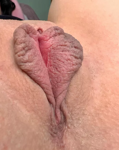 Heart-shaped 🐈 by HappyNazgul