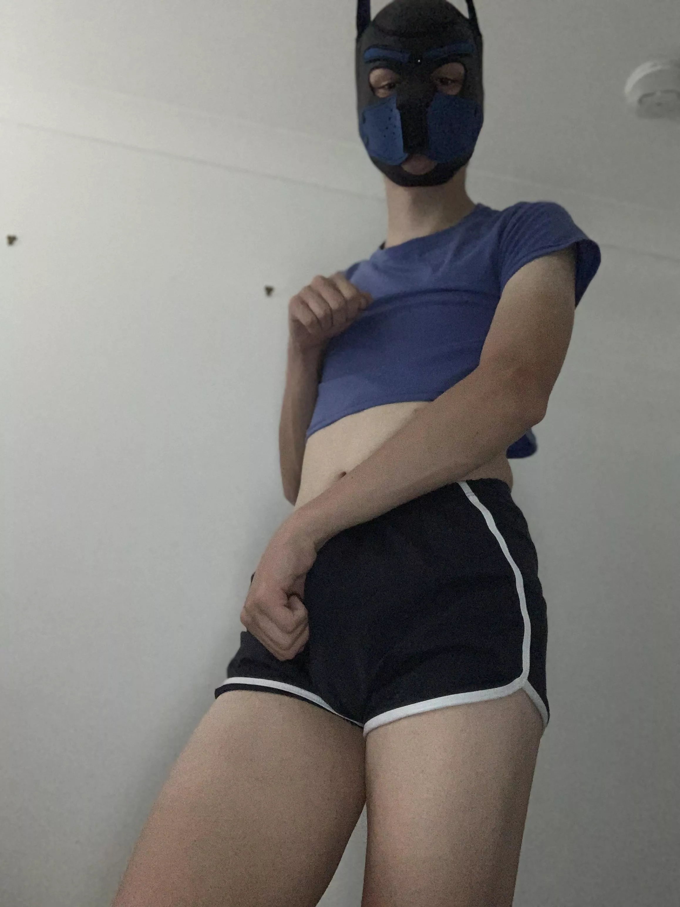 hewo:> posted by SilentSpider69