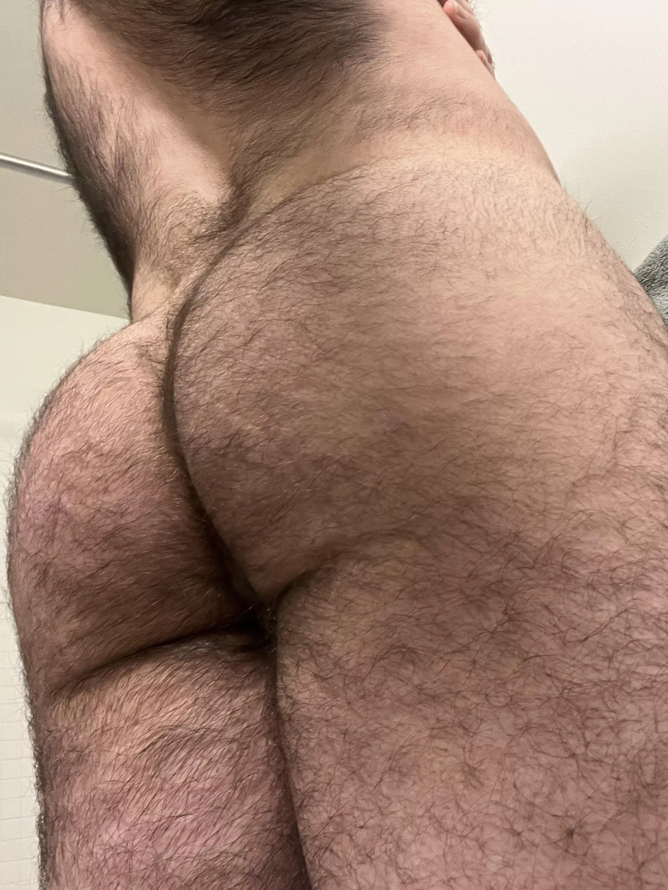 Hopefully not too furry… posted by throwaway_12791279