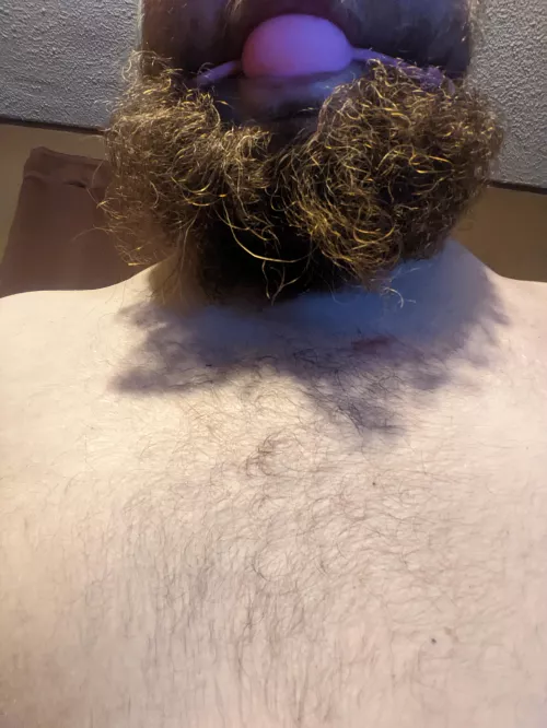 How long do the dome here think I should wear this 2 inch ballgag tonight by soldier1289