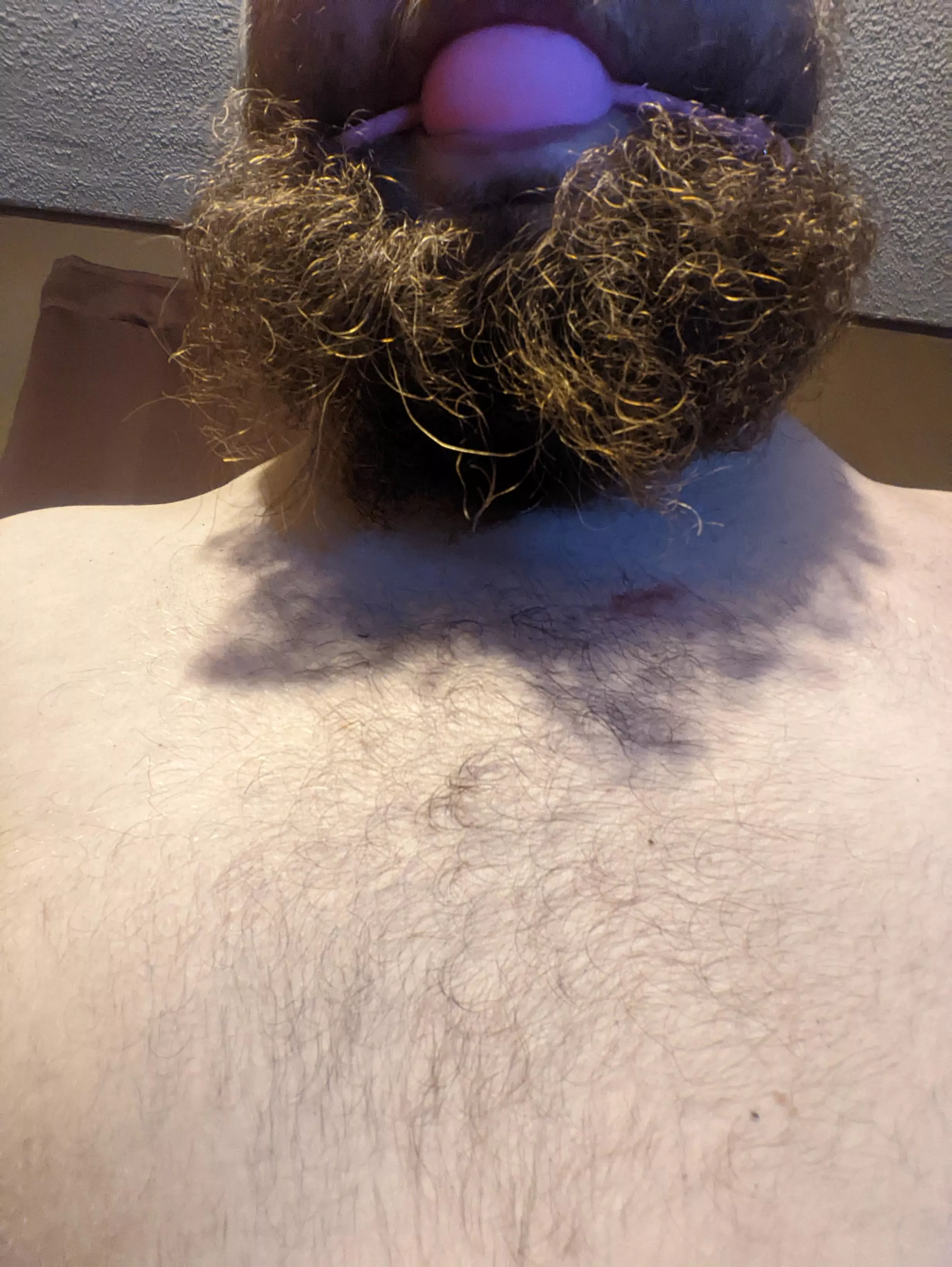 How long do the dome here think I should wear this 2 inch ballgag tonight posted by soldier1289