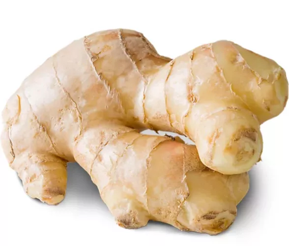 If you know you know…. by thatdroolguy