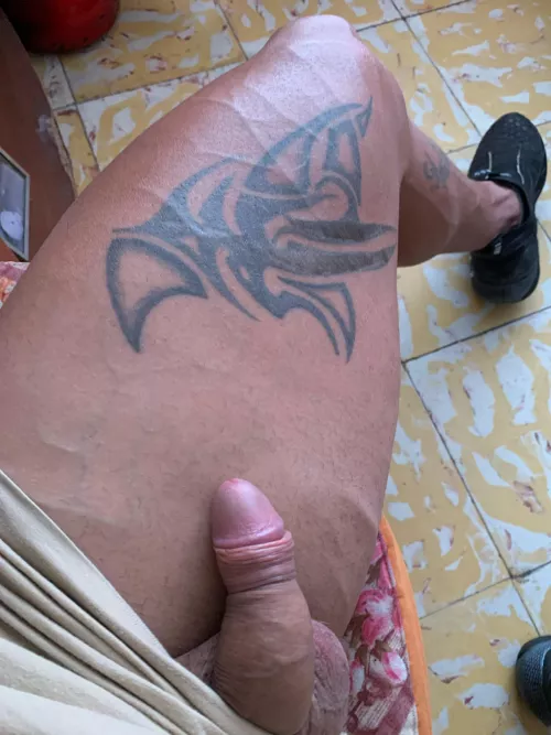 in search of the north by dylandelrio