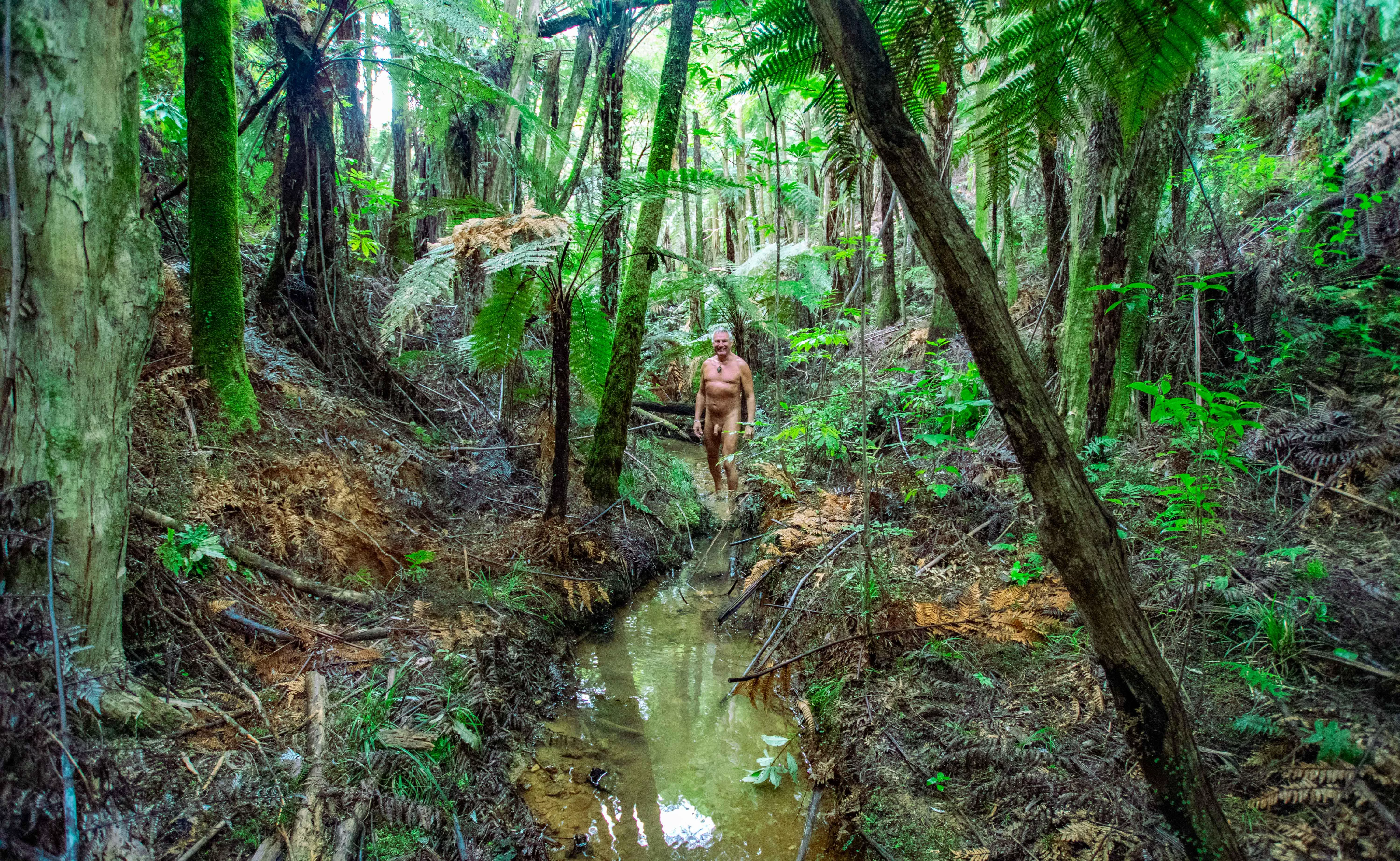 It's hot today, cooling off in the shade of the forest posted by seriouslynarced