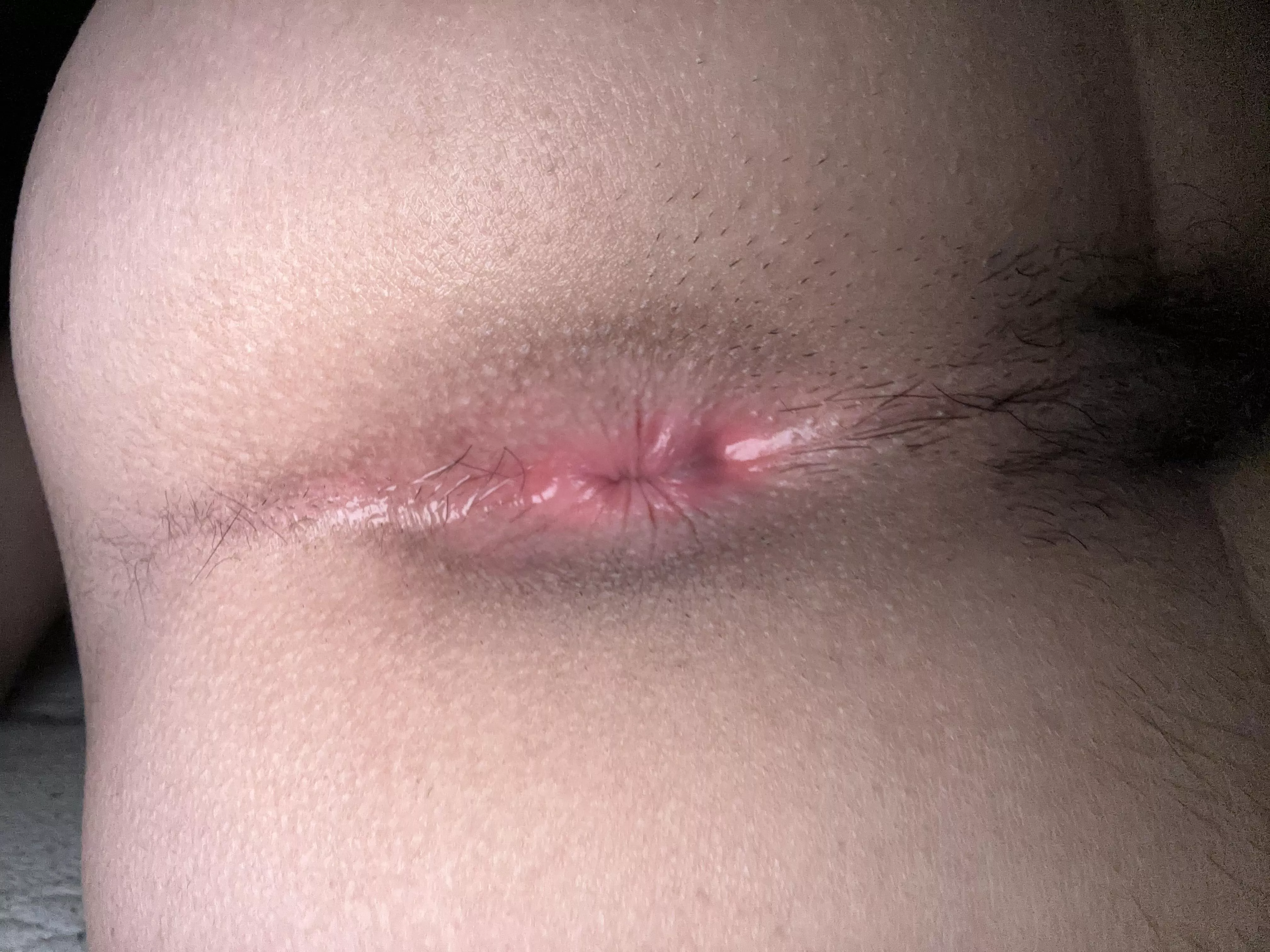 Let me sit on your face posted by Theonlyboy0007