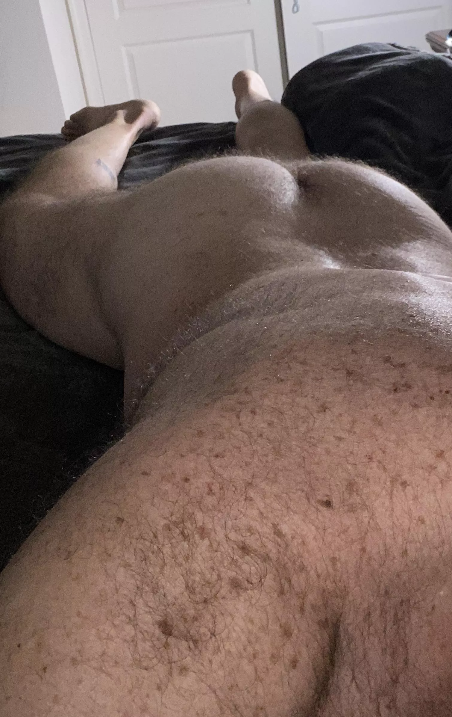 Little fuzzy on this tushy Tuesday posted by marc_squared_nsfw