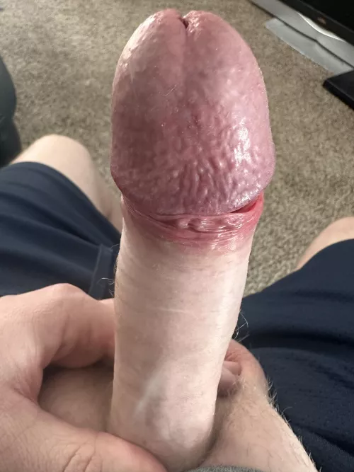 Mid Afternoon Rock Hard Boner by Annual-Grass-1335