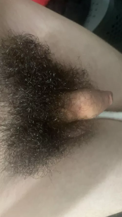 natural softie by No-Traffic1716