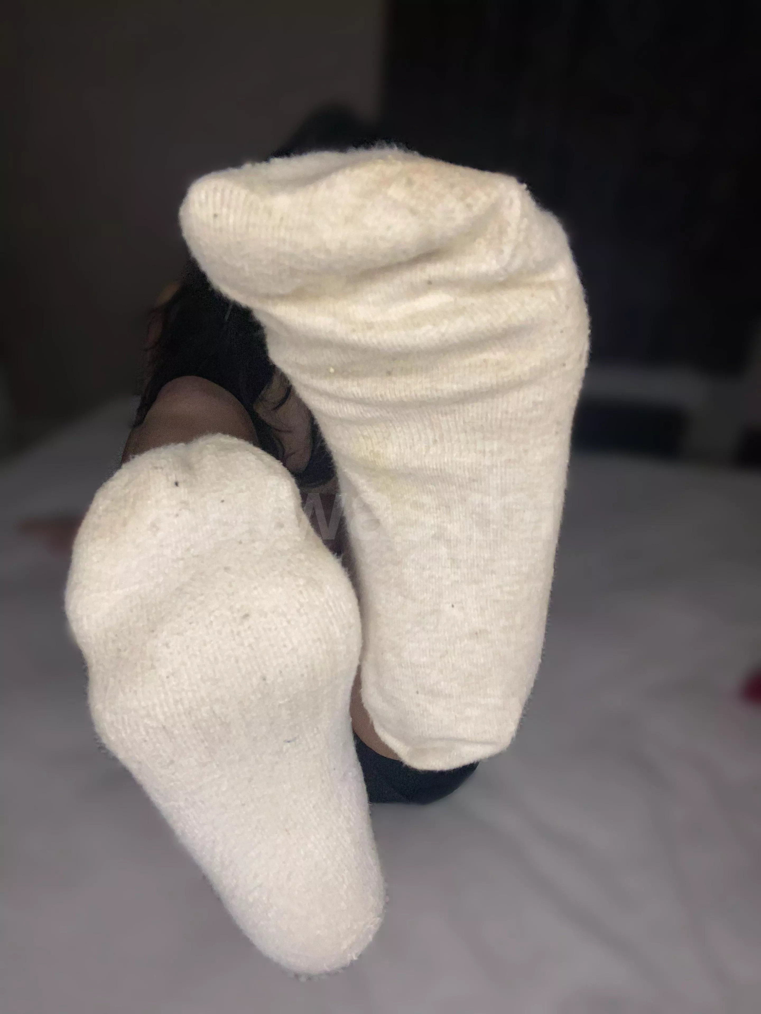 Nicely crusted and colored. Do you wanna take a sniff? posted by wasxbi