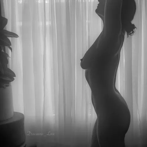 Playing with backlighting by Dracaena_Love