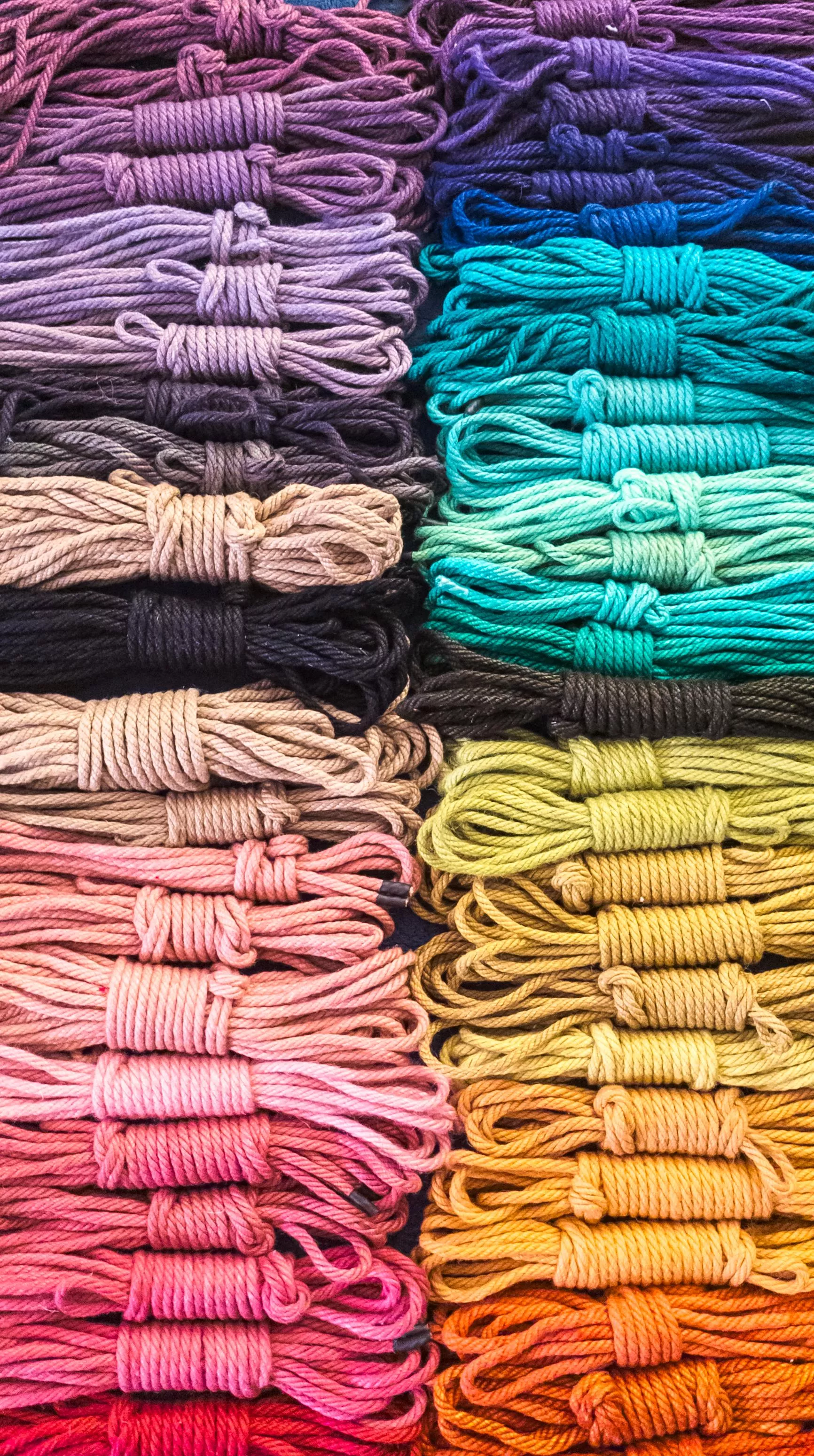 Pretty colors! posted by Cadavercadabra