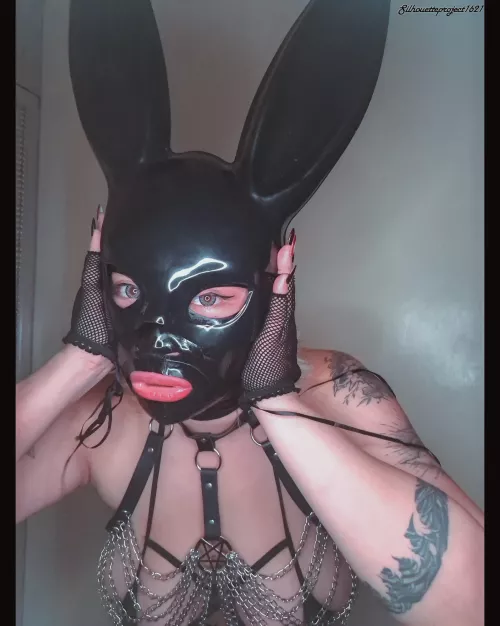 Run, rabbit, run by Silhouette_Project