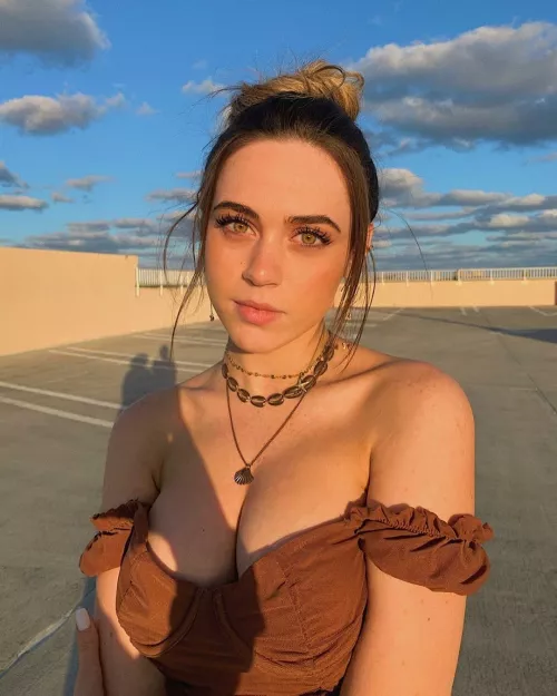 Shells by NewUploader1