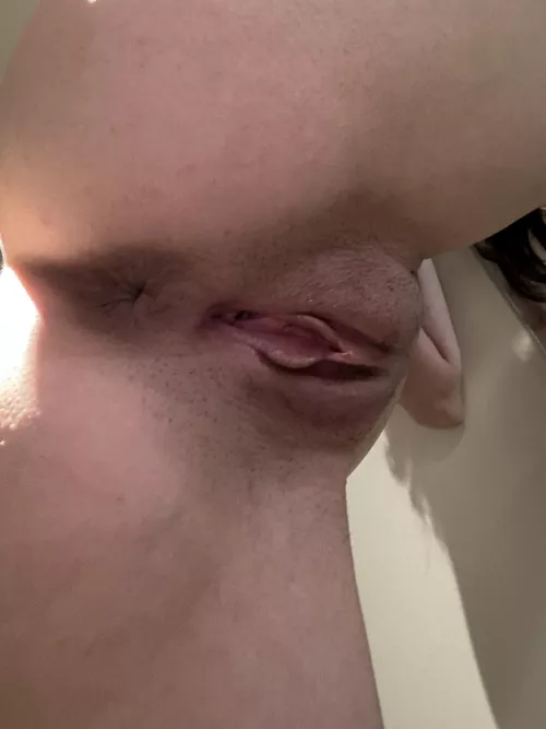 Sitting in your face by draconia777