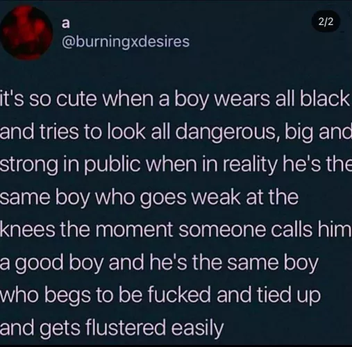 So cute ❤️ by Mammoth_Load3517