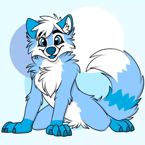 Storm’s in a playfull mood! Boop worthy? by KatFurry4